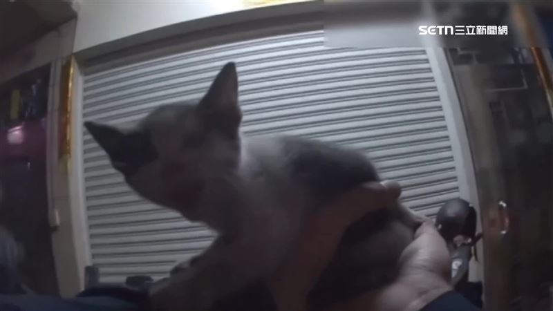 小貓成功救出，而機車騎士的朋友也可以幫忙中途安置小貓