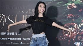 蔡依林大巨蛋演唱會圓滿落幕。（圖／記者鄭孟晃攝影）