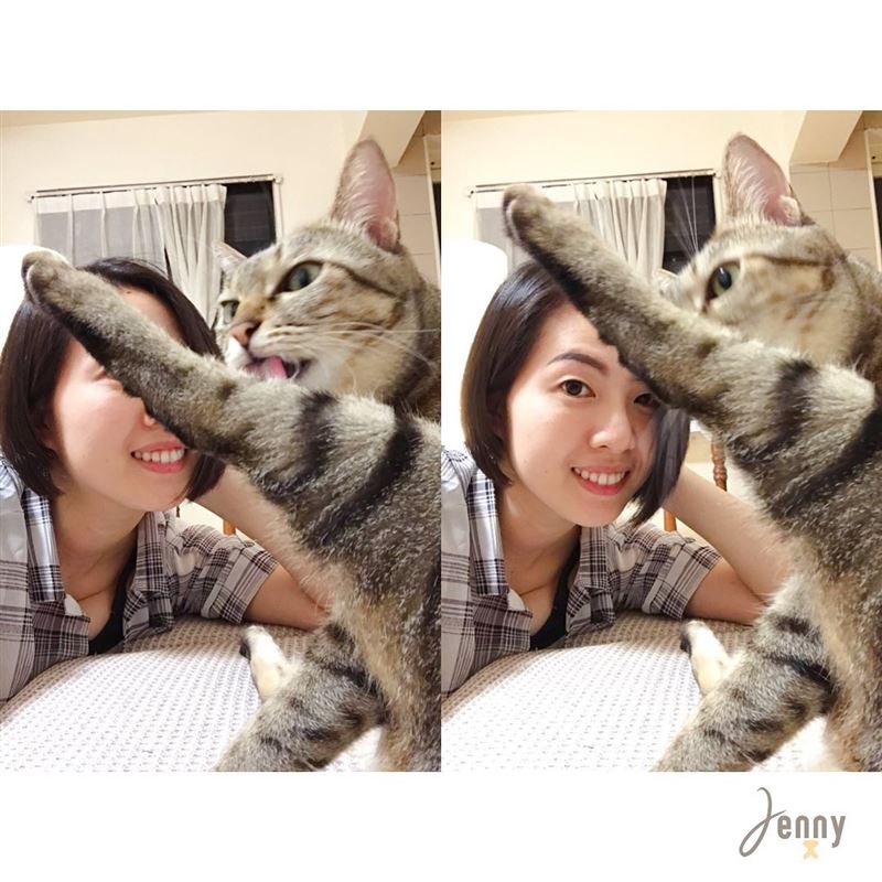 蕭煌奇新婚老婆相當有愛心，在社群上經常貼出與寵物們互動畫面。（圖／翻攝自IG）