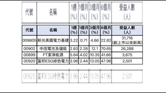 美國電力基建先漲為敬　這幾檔趕搭順風車