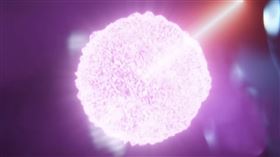 台積電晶圓製程,晶圓,製程,台積電,TSMC（圖／翻攝自台積電官方YT） 