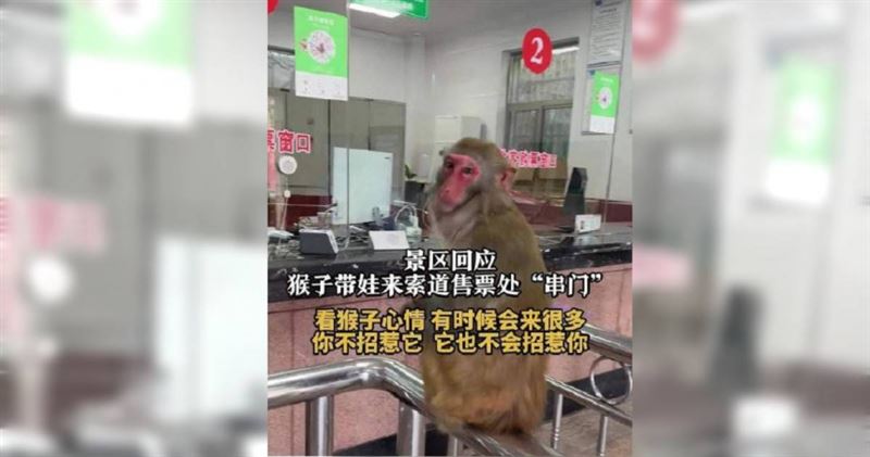 一段拍攝於大陸湖南省張家界黃石寨索道售票處的影片，近日在網路上引發熱議。（圖／翻攝自微博）