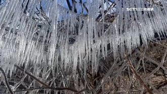 武陵藤花園夢幻　整排冰柱畫面超壯觀