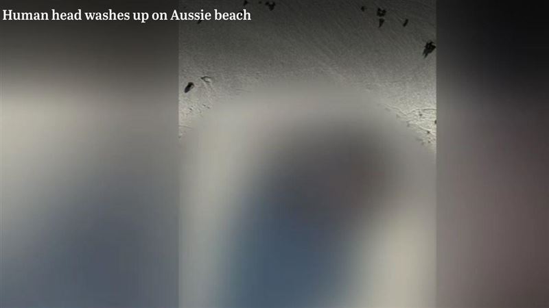 慎入！只剩一顆頭　澳抓龍蝦慘死疑台灣人