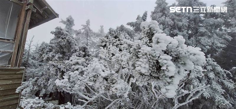 強烈大陸冷氣團持續發威，嘉明湖步道、嘉明湖山屋也迎來皚皚白雪。（圖／嘉明湖熊企業社出沒提供）