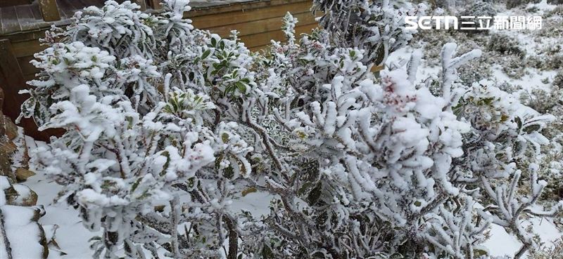 強烈大陸冷氣團持續發威，嘉明湖步道、嘉明湖山屋也迎來皚皚白雪。（圖／嘉明湖熊企業社出沒提供）
