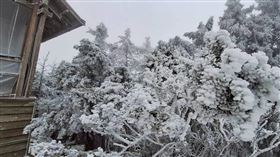 強烈大陸冷氣團持續發威，嘉明湖步道、嘉明湖山屋也迎來皚皚白雪。（圖／嘉明湖熊企業社出沒提供）
