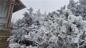 圖／嘉明湖步道下雪了！灑滿糖霜宛如仙境