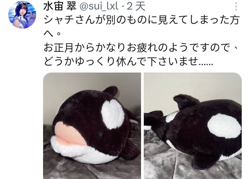 水宙翠解釋那是虎鯨娃娃。（圖／翻攝自X）