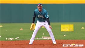 王維中轉隊月薪60萬　台鋼雄鷹2026月薪曝