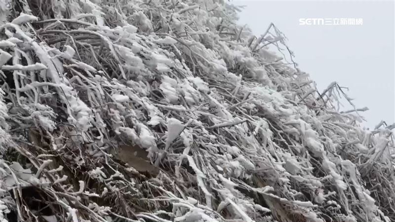 氣象署提醒,週六(1/10)下半天起東北風增強,海拔2500公尺以上高山可能零星降雪或下冰霰