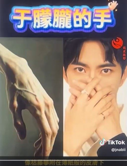 引起粉絲與網友廣泛討論。（圖／翻攝自@jnabii TikTok）