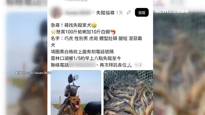 雲林漁民的愛犬「巧虎」走失了