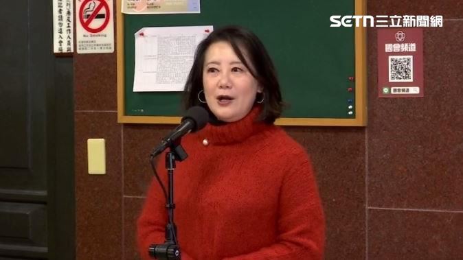 吳思瑤9日在立法院接受媒體聯訪（圖／翻攝畫面）