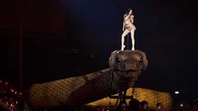 蔡依林《PLEASURE 愉悅演唱會》隱藏訊息曝光，整型外科名醫潘致皓醫師破解女神3天養生攻略。（圖／凌時差提供、三立資料照）