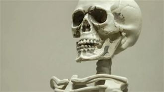 男闖墳墓「偷百具遺體」！藏屍地點曝光