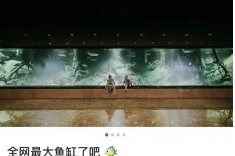 Eva自豪有全網最大的魚缸，豪宅內可以養鯊魚。（圖／翻攝自微博）