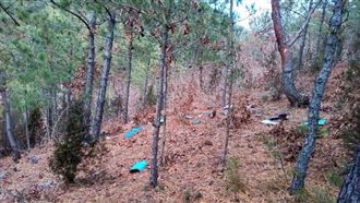 北韓控南韓無人機越界　南韓稱非軍方所為