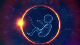 大量代孕、同時在不同代孕機構「下單」的中國富豪並不少見，引發道德疑慮。（示意圖／PIXABAY）