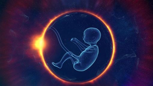 美中富豪荒誕百孩夢　代理孕母成生產機器