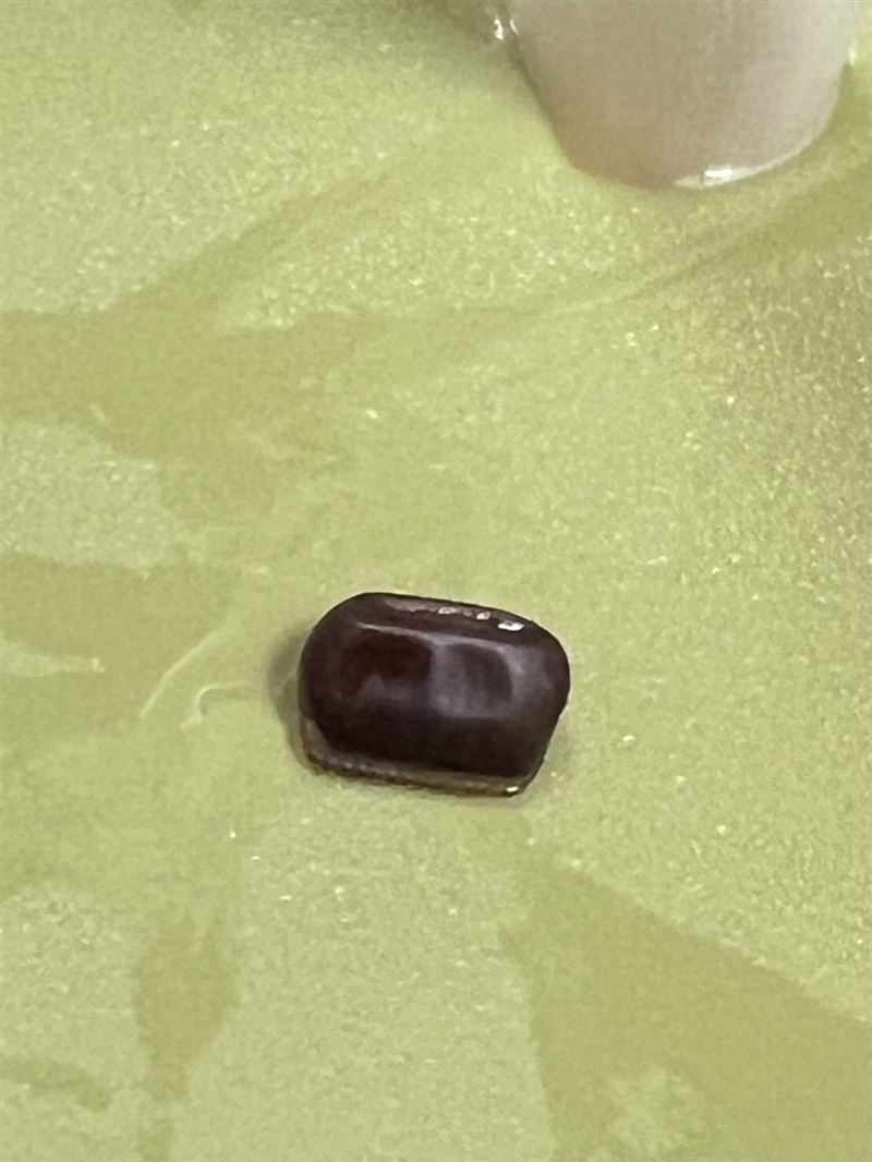 網友購買「大茗」一中店的飲品後喝到蟑螂卵的異物。（圖／翻攝自Threads @minnielin08）