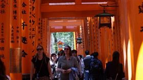 伏見稻荷大社遭刻「到此一遊」百棵竹毀了