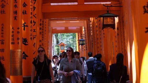 伏見稻荷大社遭刻「到此一遊」百棵竹毀了