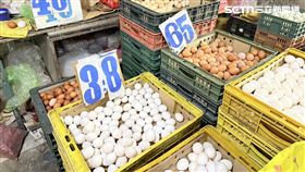 台北市蛋商公會,新蛋,價格,雞蛋,蛋雞,批發價,台北市蛋商公會,新蛋,農業部（圖／記者李育道攝影）