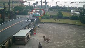 機車騎士被撞飛離地約3公尺高，再猛撞反光鏡後倒地不起，汽車則是失控衝進水溝。（圖／翻攝畫面）