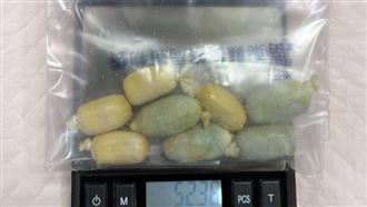 肚中有詭異卵囊！3台人拉出「26顆毒球」