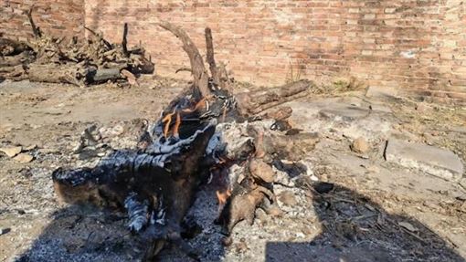 零下溫度踱步取暖　河北窮農沒錢開天然氣