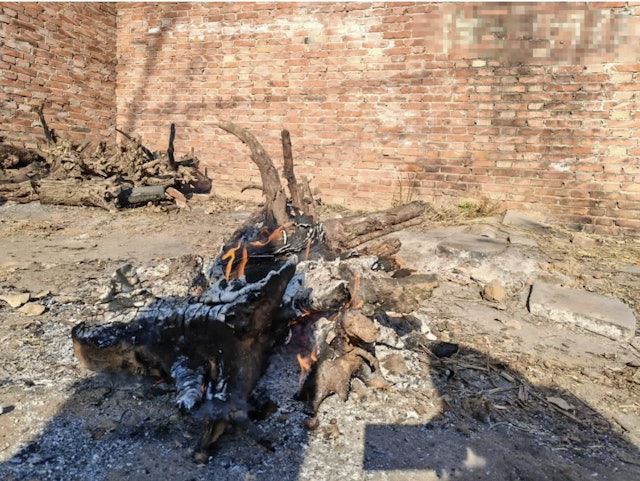 河北許多農民只能用樹枝烤火取暖。（圖／翻攝自鳳凰網《風暴眼》）