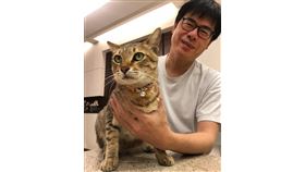 高市長初選民調今登場！邱議瑩曬「超萌陳小米」顧電話打工照（業配勿用）