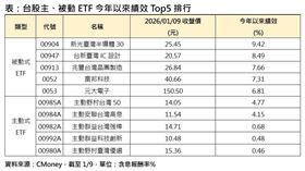 台股主、被動ETF今年以來績效Top5排行。（圖／CMoney）