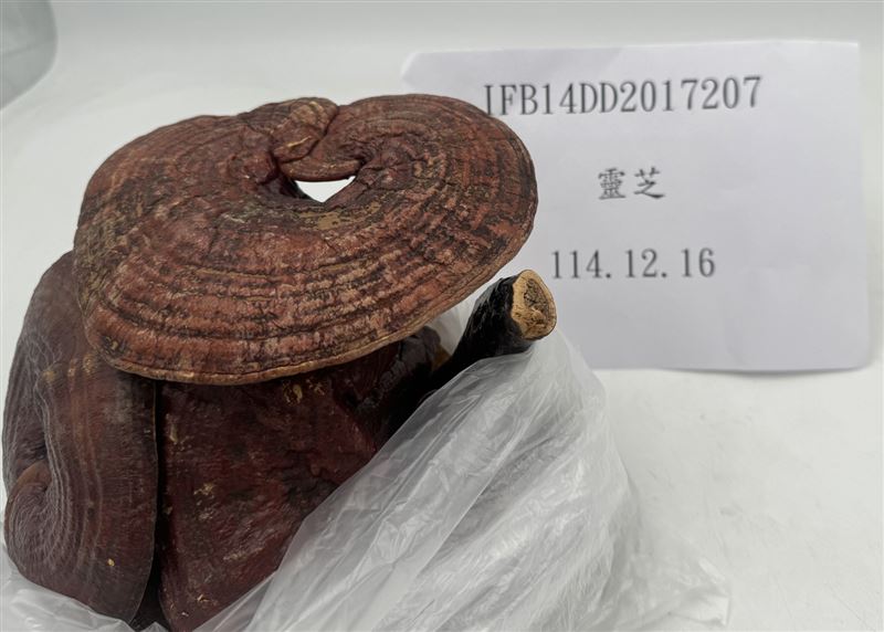 中國靈芝檢出殘留農藥陶斯松0.05 ppm。(圖/食藥署提供)