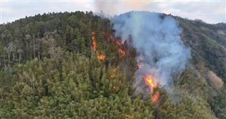 世界級竹林傳火燒山！雲林草嶺石壁陷火海