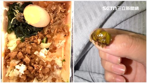 池上便當吃到「檳榔蒂」氣炸　業者回應了