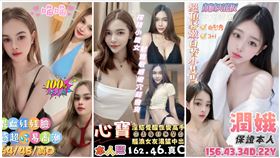 善化分局,移民署,台南專勤隊,台南市,尋芳客,泰籍（圖／翻攝畫面）