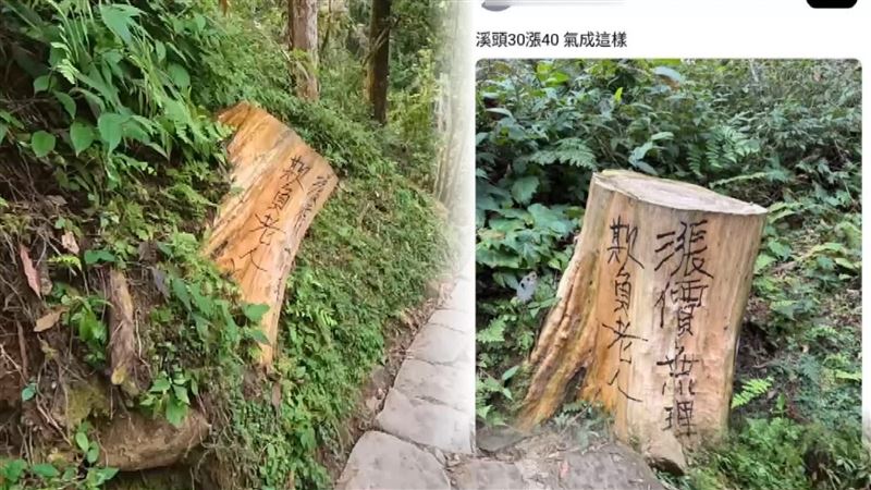 南投溪頭自然教育園區門票漲價，有民眾因此不滿地在園區內四處寫下「欺負老人」的字樣