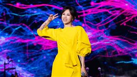 蔡健雅推出演唱會影音作品。（圖／躍耳娛樂提供）