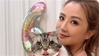 蔡卓妍不藏了　突認愛小9歲新歡：好幸福