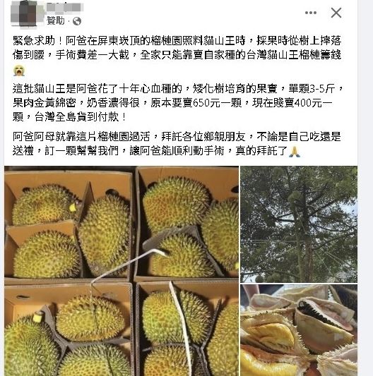 賣家稱家中就靠榴槤園過活，整個故事疑點重重。（圖／翻攝自臉書）