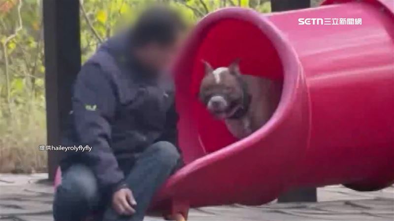 獨／兒童遊具變狗訓練場？男子牽狗走繩索