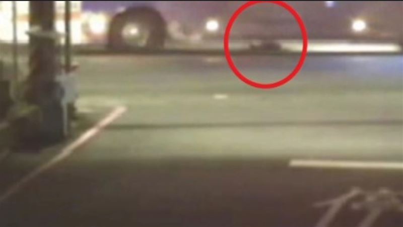 犬隻被公車輾過。（圖／翻攝畫面）