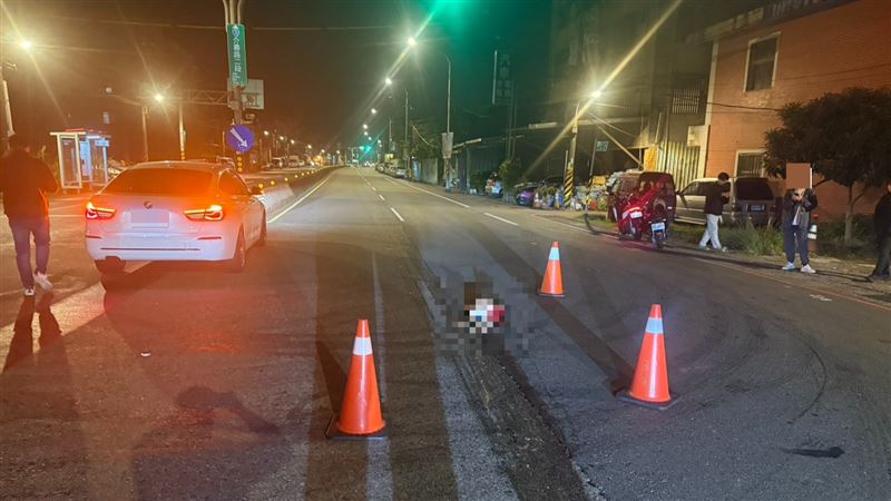 犬隻被輾斃的現場。（圖／翻攝畫面）