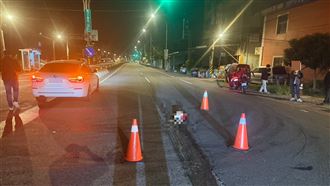 犬隻被輾斃的現場。（圖／翻攝畫面）