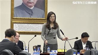 鄭麗文主持中常會並發表談話。（圖／記者詹宜庭攝影）