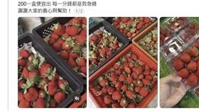 貼文宣稱阿公突發重病住院，急需現金，釣人私訊買草莓。（圖／取自Threads）