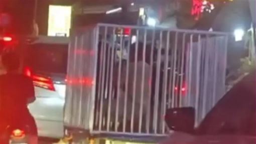豬仔煉獄再現？柬埔寨活人「關狗籠」遊街