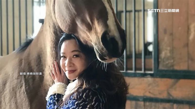 遭傳買馬是不法所得？應曉薇找前飼主澄清